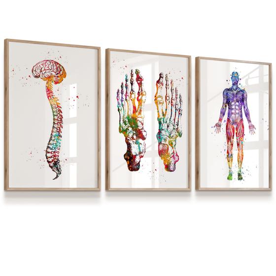 Imagem de Quadro Vidro Kit 3 Corpo Humano Podólogo Pés Coluna Vertebral Cérebro 33x43cada 