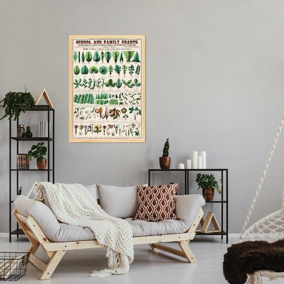 Imagem de Quadro Vintage Botânica Folhas e Plantas 60x43 Caixa Marfim Moldura Caixa, Marfim