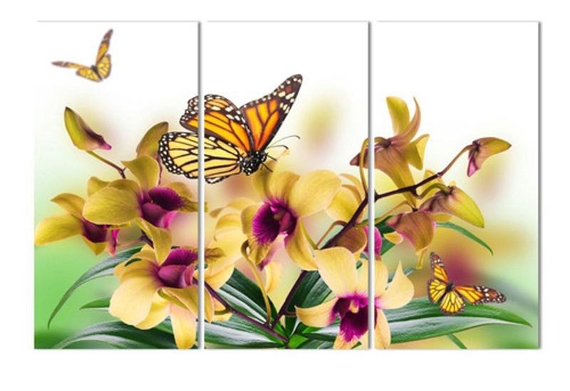 Imagem de Quadros Decorativos 3 Peças Orquidea Borboletas