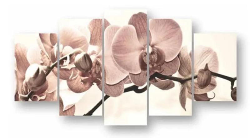 Imagem de quadros decorativos 4 k flores rosas fundo branco "