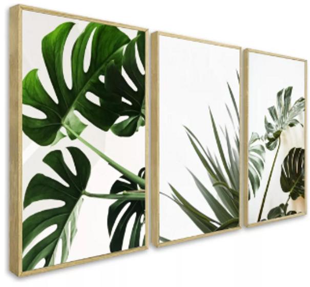 Imagem de quadros decorativos 4 k Folhas Verdes Tropical"