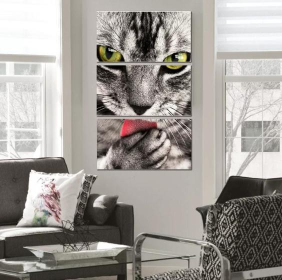 Imagem de quadros decorativos 4 k Gato Cat"