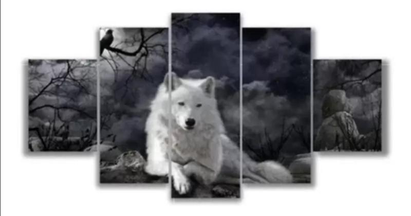 Imagem de quadros decorativos 4 k lobo branco