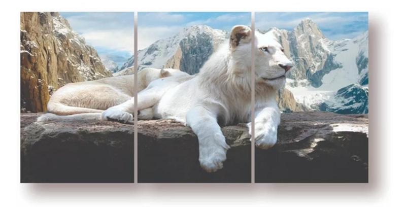 Imagem de quadros decorativos 4 k Tigre Branco Na Pedra Da Montanha"