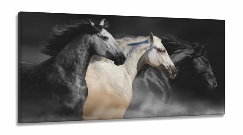 Imagem de Quadros Decorativos Cavalos Fazenda  em Tecido Canvas 130x60