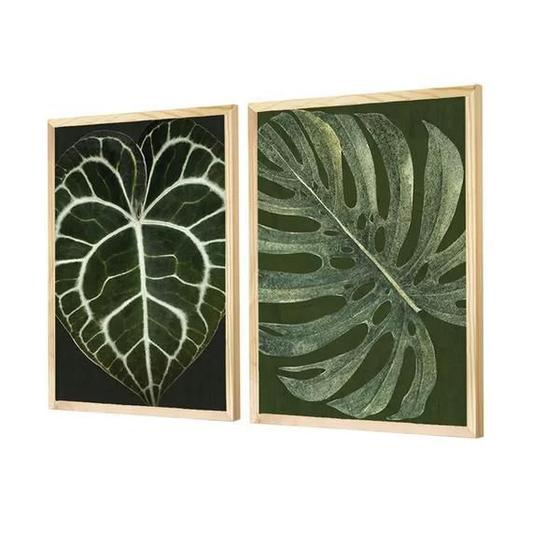 Imagem de Quadros Decorativos Folhagens Verdes Plantas 43x63cm - Dupla