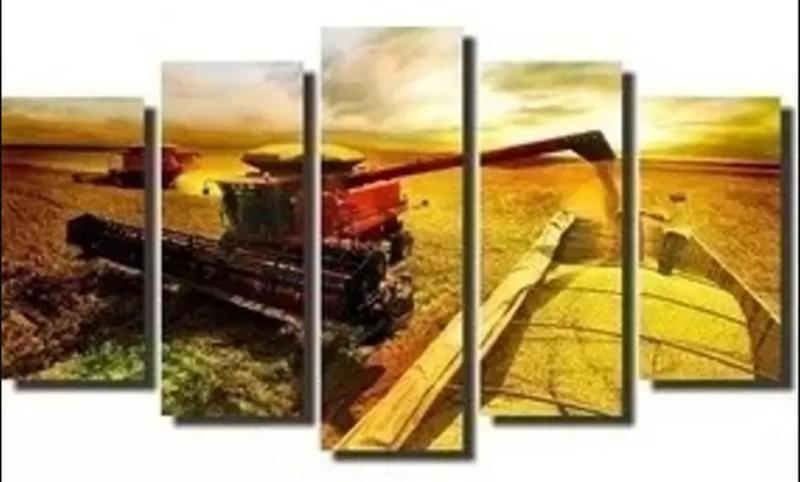 Imagem de Quadros Decorativos Mosaico agricultura 1"