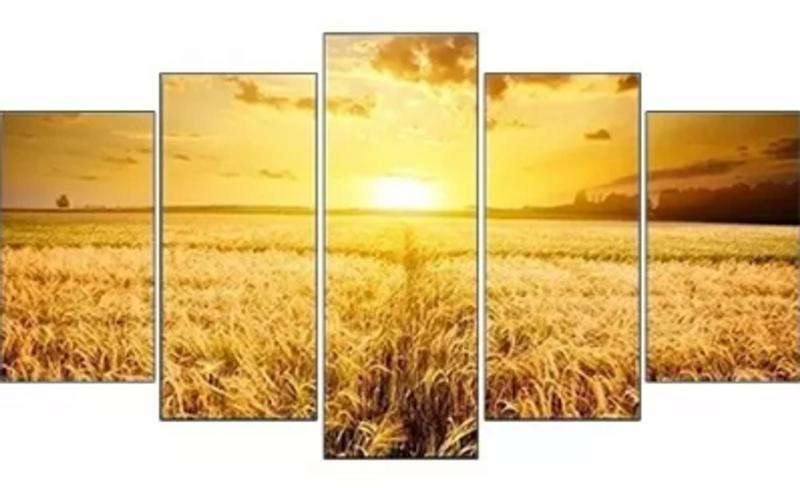 Imagem de Quadros Decorativos Mosaico Campo De Trigo"