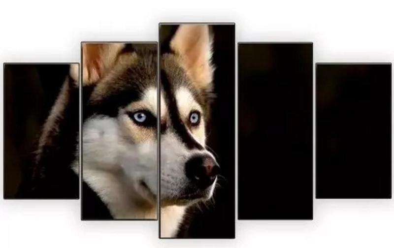 Imagem de Quadros Decorativos Mosaico Husky Siberiano Hd Lindo Hdss"