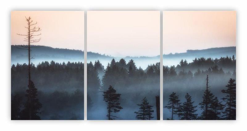 Imagem de Quadros Decorativos Paisagem Pássaros Neblina 120X60Cm