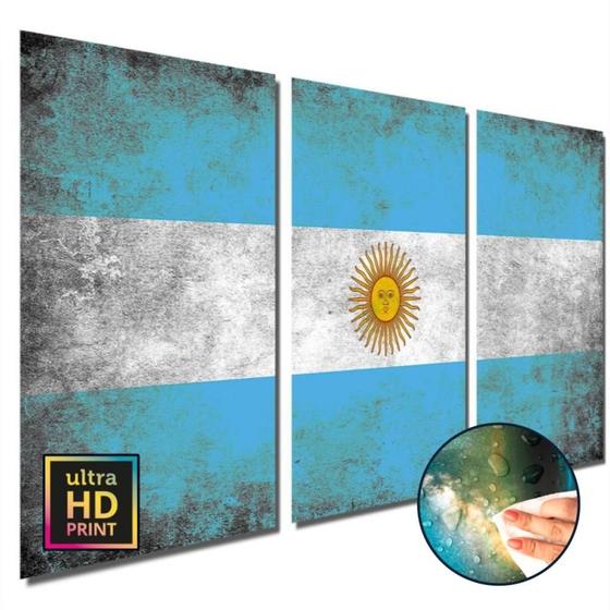 Imagem de Quadros decorativos sala quarto Bandeira Argentina N1