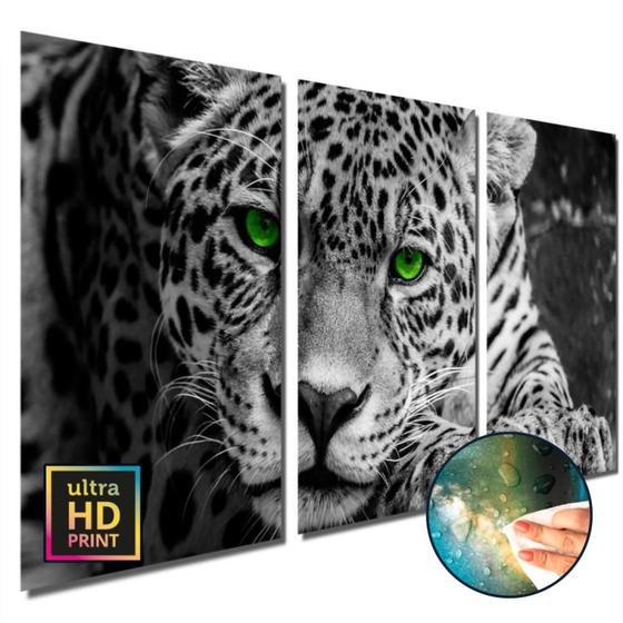 Imagem de Quadros decorativos sala quarto Leopardo Olhos Verdes