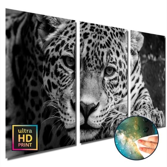 Imagem de Quadros decorativos sala quarto Leopardo Pb