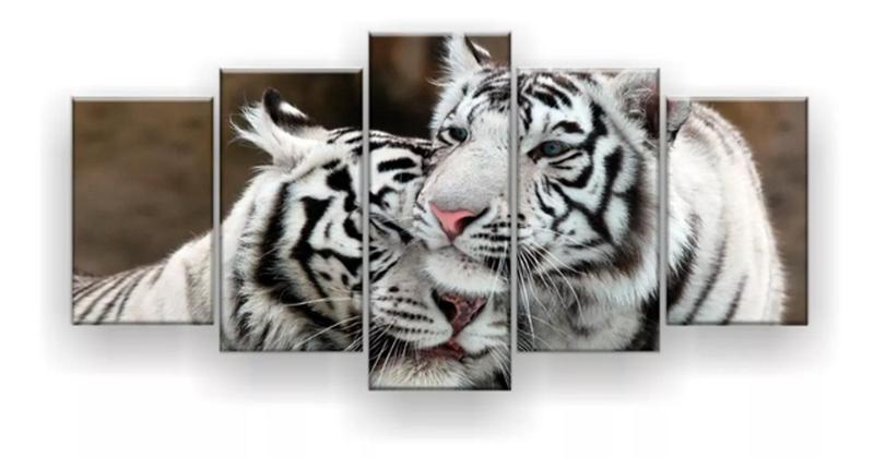 Imagem de Quadros Decorativos Tigres Brancos"