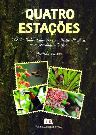 Estacoes De Alimentacao De Aves Estacoes De Alimentacao De Aves