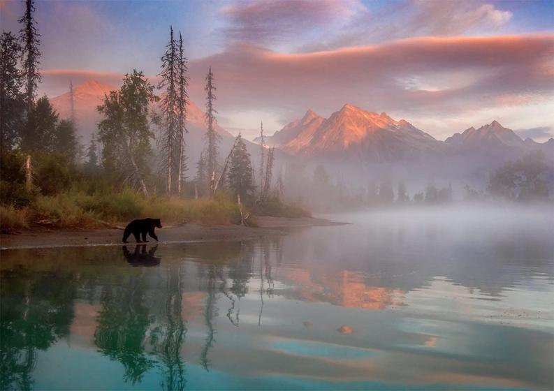 Imagem de Quebra-cabeça Buffalo Games Molly McCormick Bear Reflection