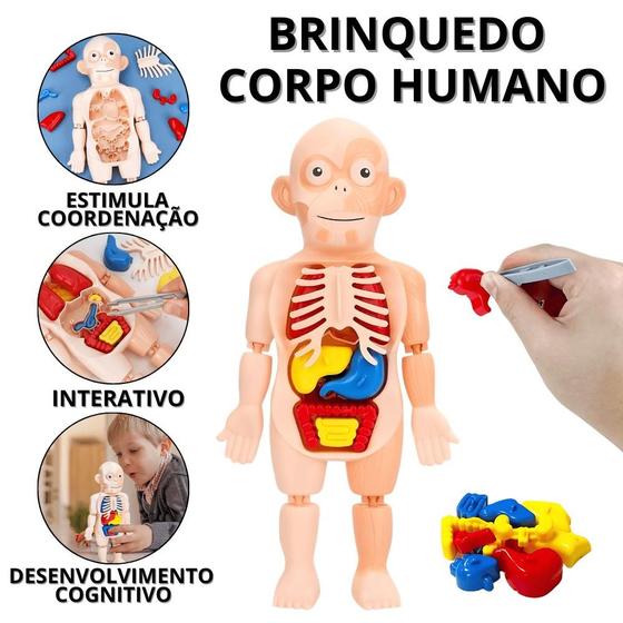 Imagem de Quebra Cabeça Corpo Humano Boneco De Anatomia Humana Brinquedo Anatômico  Interativo Educativo