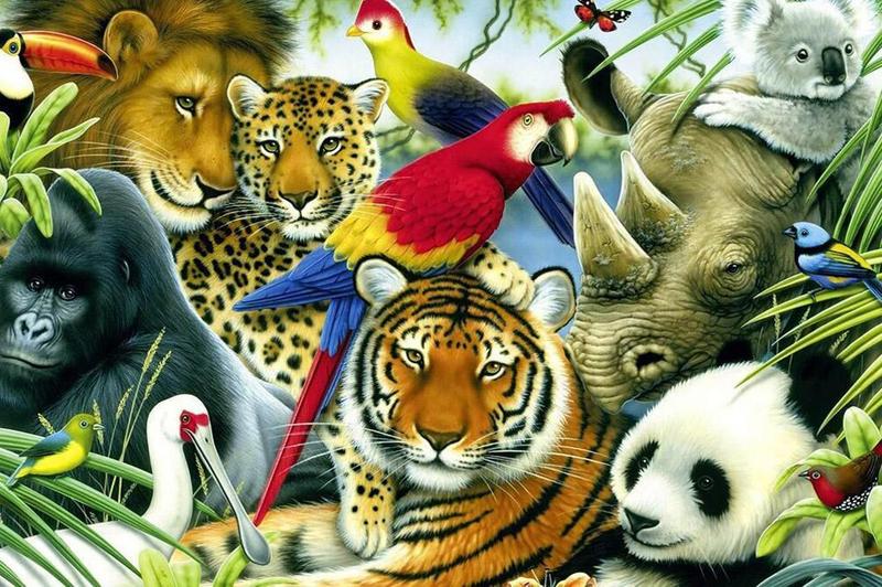 Imagem de Quebra-Cabeça Puzzle Pintura Animais Selvagens De 300 Peças