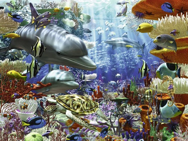 Imagem de Quebra-cabeça Ravensburger Oceanic Wonders 3000 peças