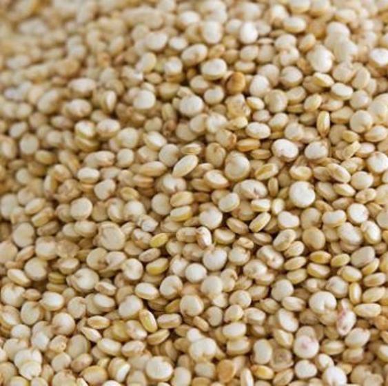 Quinoa Branca em Grãos 1kg N4 NATURAL Quinoa Magazine Luiza