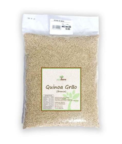Imagem de Quinoa Quinua Branca Em Grãos 1Kg Della Terra