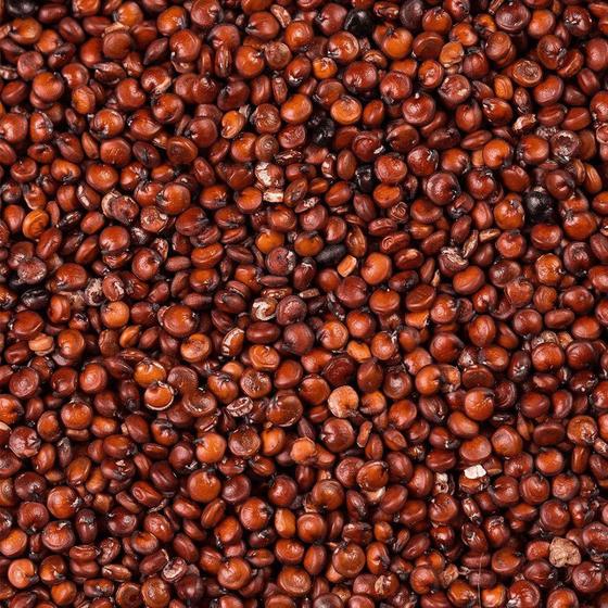 Imagem de Quinoa Vermelha em Grãos - 1kg