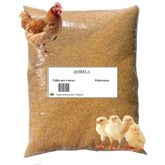 Imagem de Quirera De Milho canjiquinha Fina Para Pássaros -1,3 e 5Kg Aves