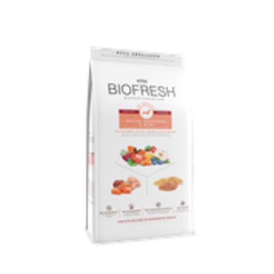 Ração Biofresh Super Premium Cães Sênior Pequenos e Minis 10 KG Menor preço em Ração Biofresh Super Premium Cães Sênior Pequenos e Minis 10 KG