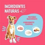 Ração Seca Quatree Select 15kg Frango e Arroz Cães Adultos Raças Médias e Grandes Menor preço em Ração Seca Quatree Select 15kg Frango e Arroz Cães Adultos Raças Médias e Grandes