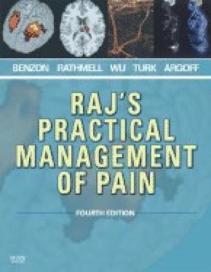 Imagem de Rajs practical management of pain
