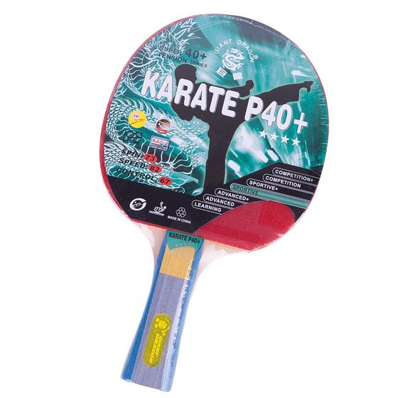 Raquete Tênis Mesa 4 estrelas Karate Giant Dragon ITTF Menor preço em Raquete Tênis Mesa 4 estrelas Karate Giant Dragon ITTF