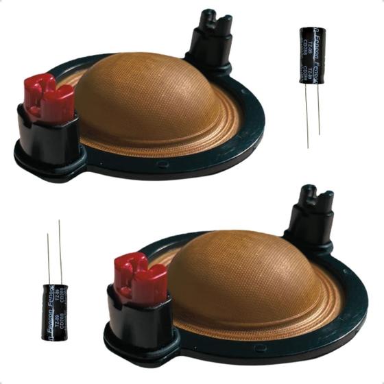 Imagem de Reparo Compatível Selenium D-250x Utx300 100w 8 Ohms Kit 2un Com Capacitores