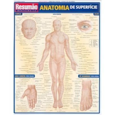 Imagem de Resumão Anatomia de Superfície -  