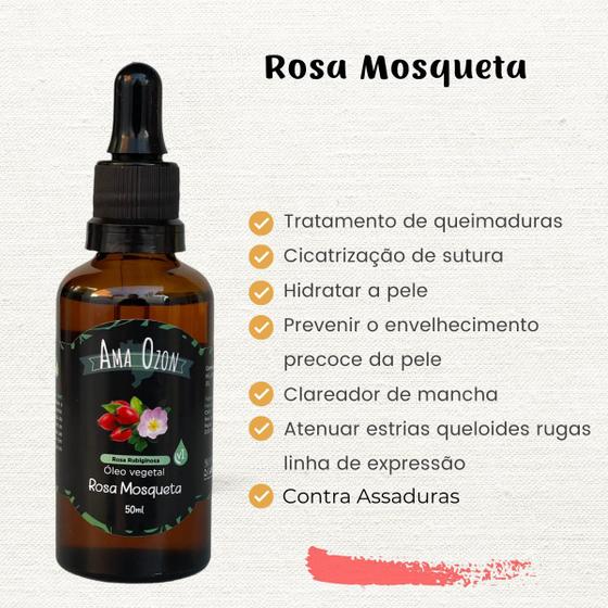 Imagem de Rosa Mosqueta Óleo Vegetal Puro e Natural Para Rosto Corpo Trata Manchas e Estrias Amaozon 50ml