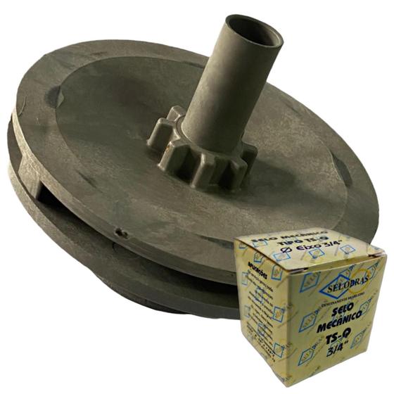 Imagem de Rotor 1,5 cv Para Motobomba De Piscina Modelo Jacuzzi 15B - M Com Selo Mecanico