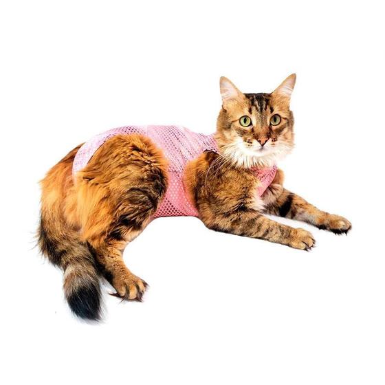 Imagem de Roupa Cirúrgica Pet Med Para Gatos Ultra Light Ball Rosa - Tamanho 1