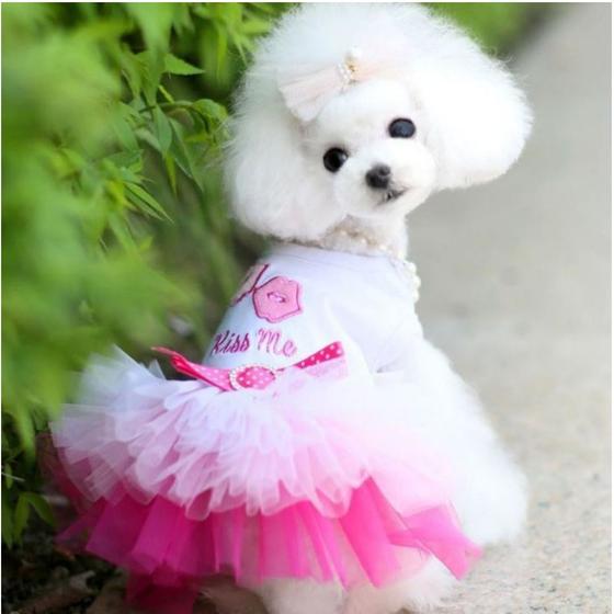 Imagem de Roupa De Cachorro Vestido + Laço Cães De Pequeno Porte