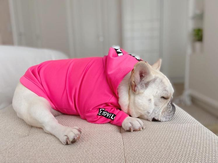 Imagem de Roupa Para Cachorro Jaqueta Rosa Chiclete Pata Chic p