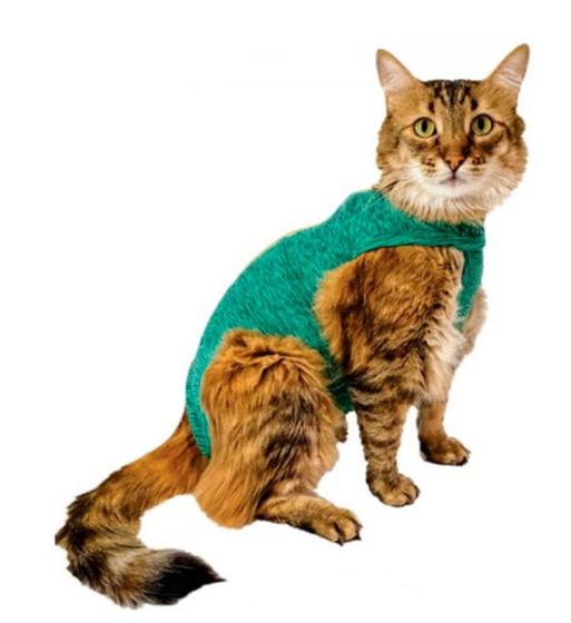 Imagem de Roupa Protetora e Pós Cirúrgica para Gatos - Duo Dry Verde Nº 02