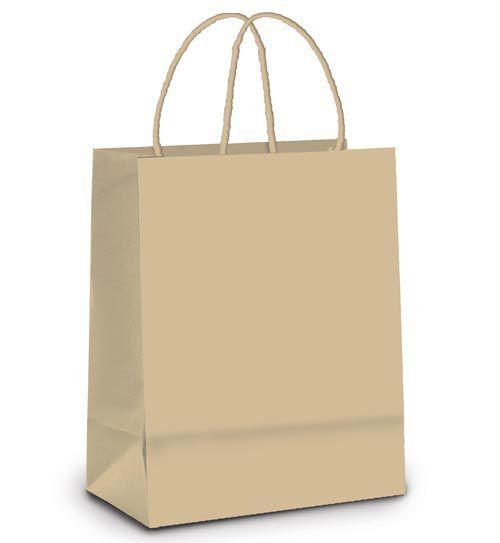Imagem de Sacola de Papel G 32x26,5x13cm - (1002022) Kraft - 10 unidades - Cromus