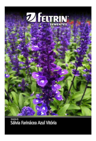 Imagem de Salvia Farinacea Azul Vitoria - 100mg de Sementes - Cultivo o Ano todo