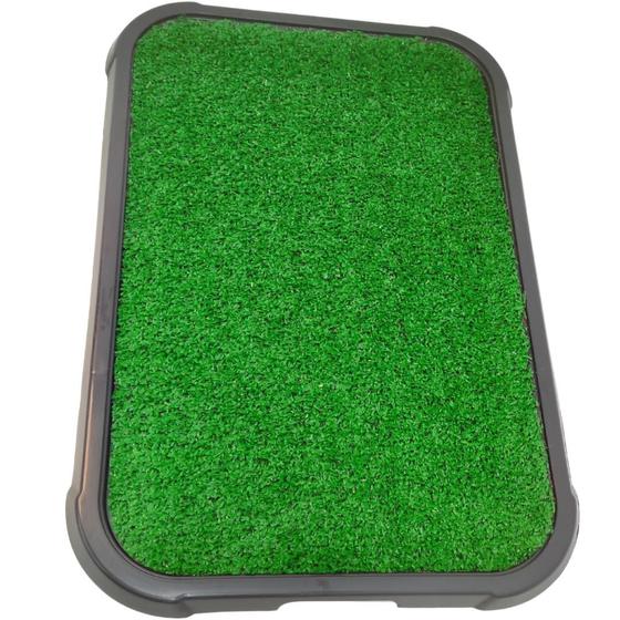 Sanitário Canino Xixi Pet Grama Sintética Lavável Grande 65x45 Menor preço em Sanitário Canino Xixi Pet Grama Sintética Lavável Grande 65x45