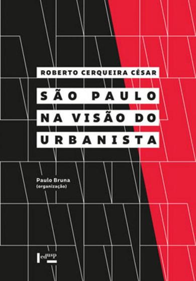 Imagem de São paulo na visão do urbanista