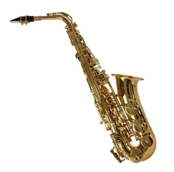 Imagem de Sax Alto Shelter SGFT6430L - Laqueado Dourado com estojo