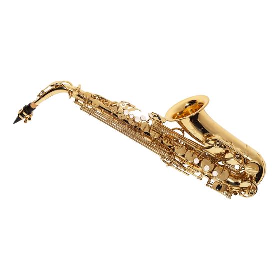 Imagem de Saxofone sax alto michael wasm30n