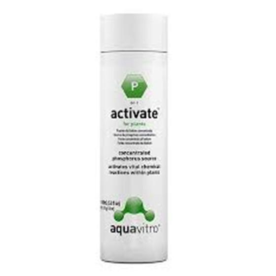 Imagem de Seachem aquavitro Activate 150ml