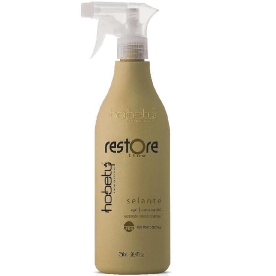 Imagem de Selante Restore Line Hobety 750 Gr