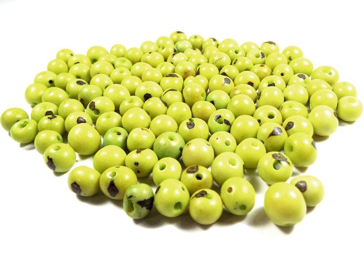Imagem de Semente de Açai Verde Limão 8mm  108 Contas + Pingente de Brinde