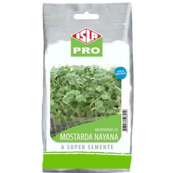 Imagem de Sementes Brotos Microverdes de Mostarda Nayana (500g) ISLA