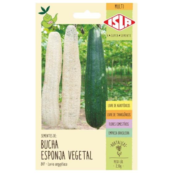 Imagem de Sementes de bucha vegetal Esponja vegana ISLA